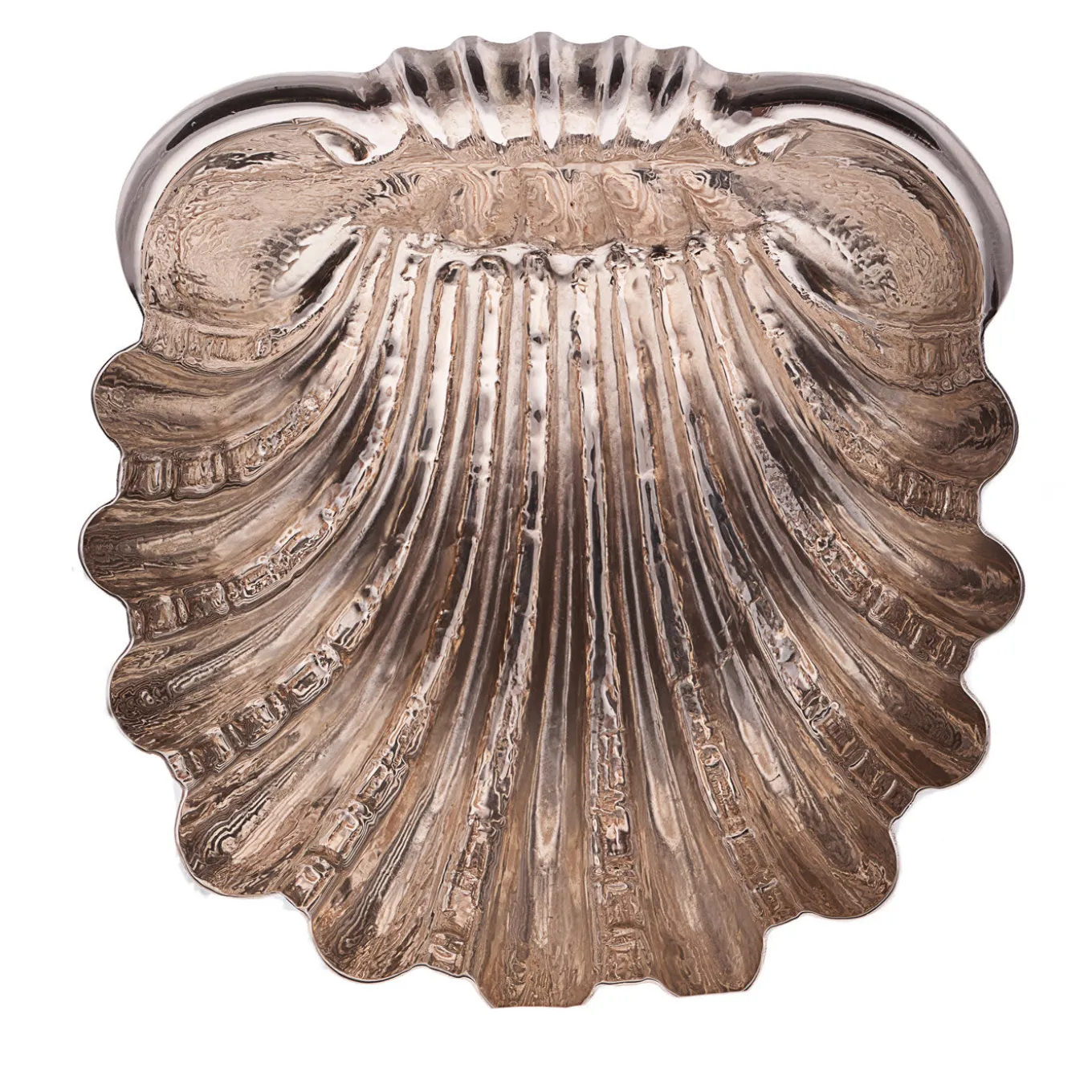 Fondo Mare Conchiglia d'argento