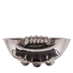 Fondo Mare Conchiglia d'argento