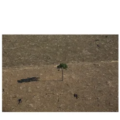 Foresta Amazzonica #3 Fotografia