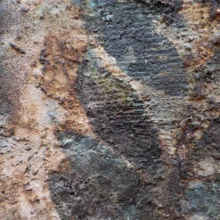 Forma Vegetale Pittura