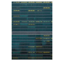 Fotografia Nazioni Unite