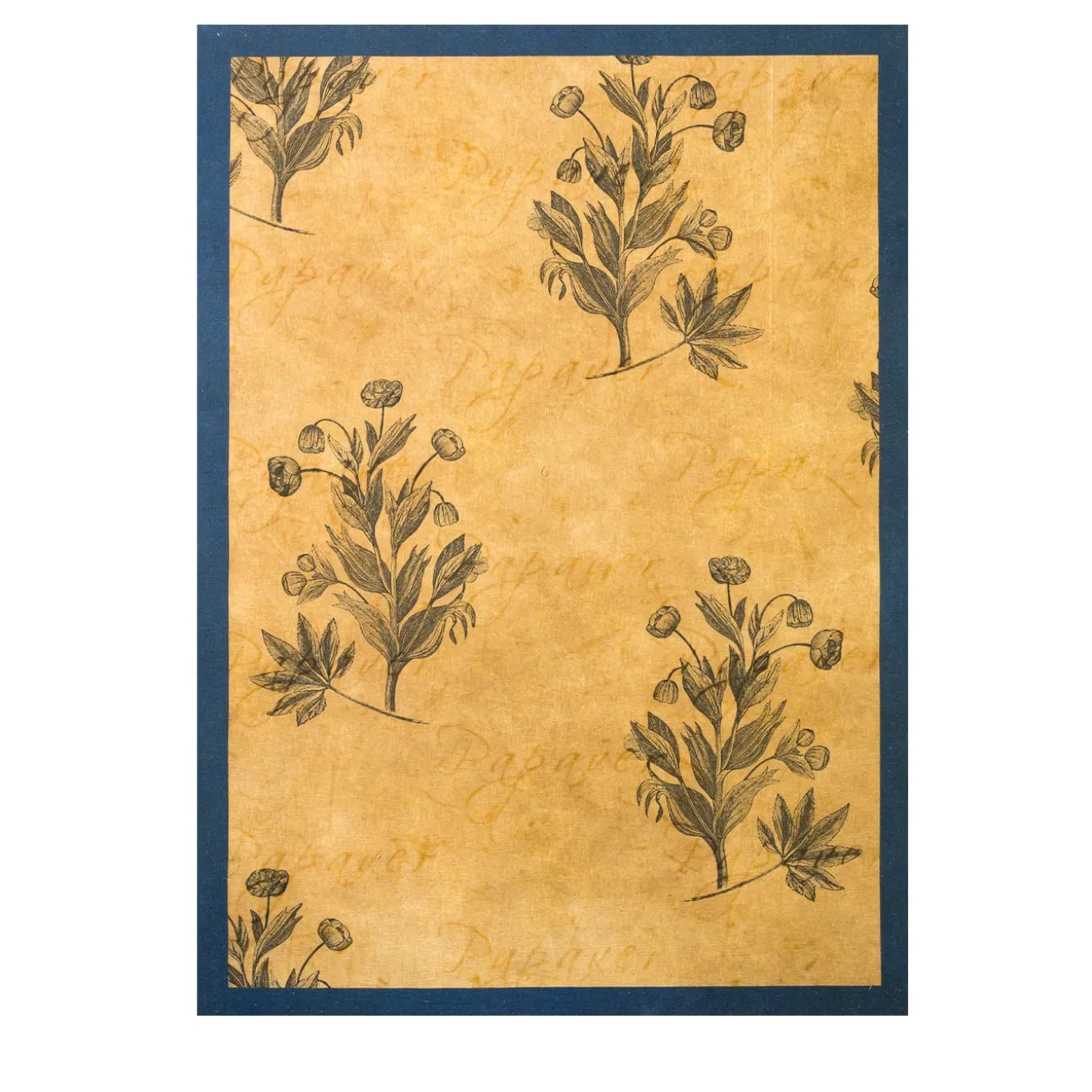 Fragaria Vesca Stampa floreale su tela