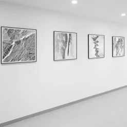 Gio Ponti Galleria Passerella Dettaglio Fotografia #19