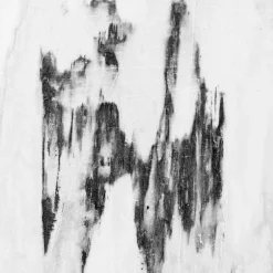 Gio Ponti Galleria Passerella Dettaglio Fotografia #24