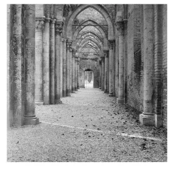 Grand Tour - Abbazia di San Galgano Fotografia