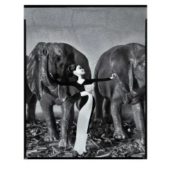 ICONICB_005 2016 Fotografia