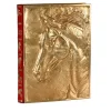 Il libro dei cavalli d'oro