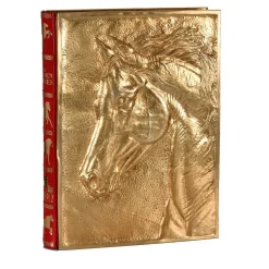 Il libro dei cavalli d'oro
