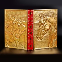 Il libro dei cavalli d'oro