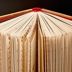 Il libro dei cavalli d'oro