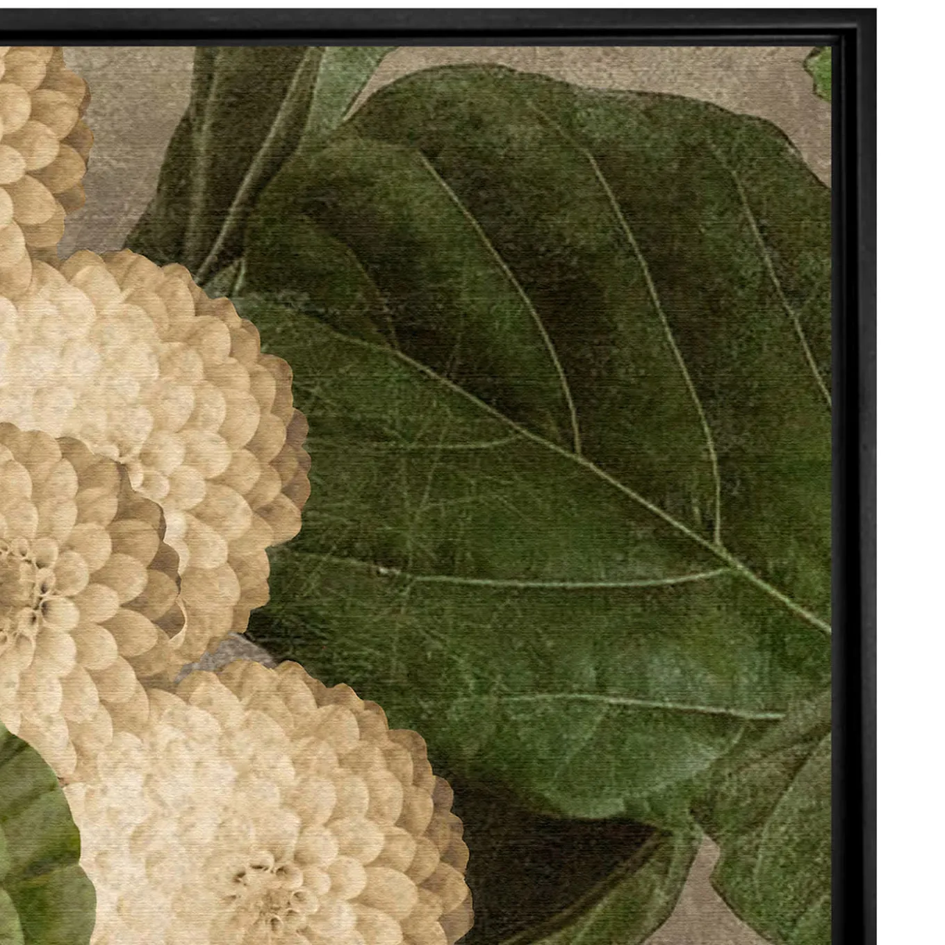 Lady Blossom Collection Dalia Stampa