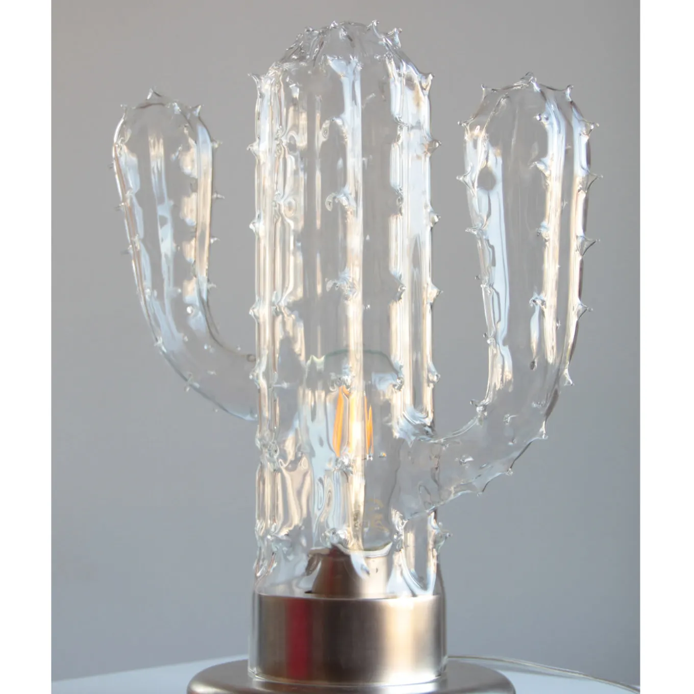 Lampada a cactus dell'Arizona