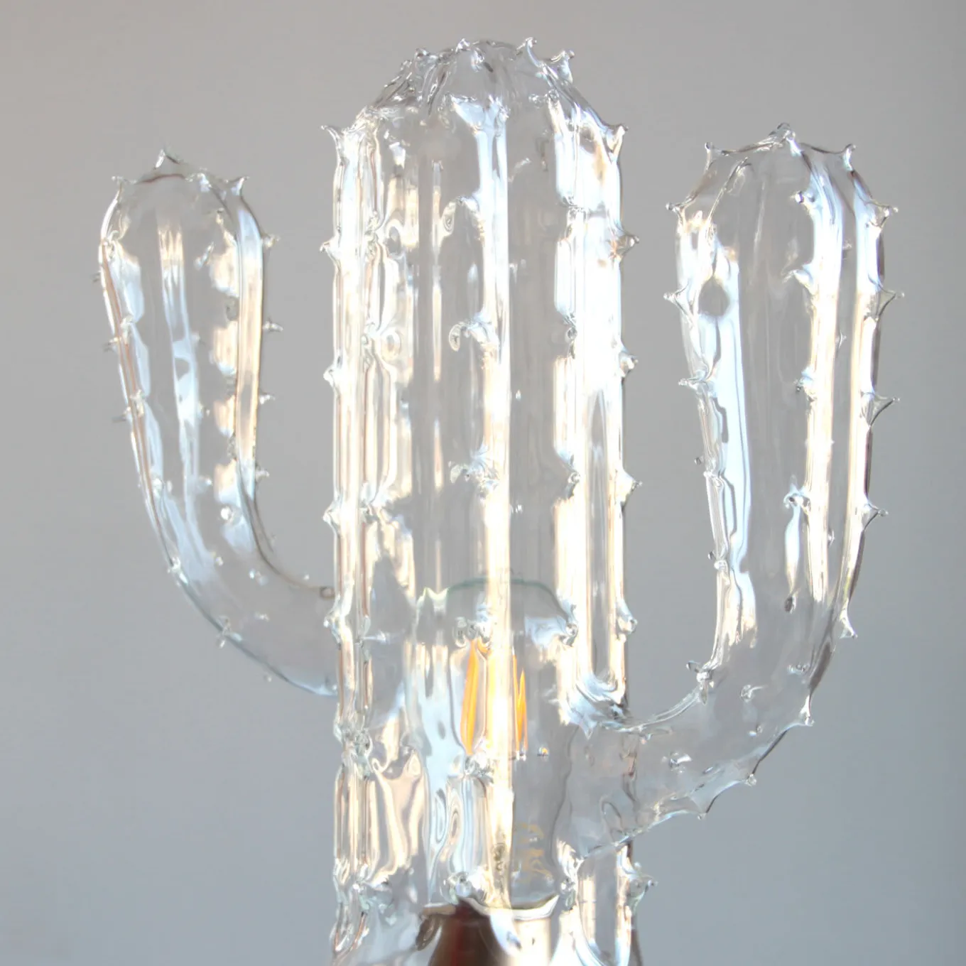 Lampada a cactus dell'Arizona