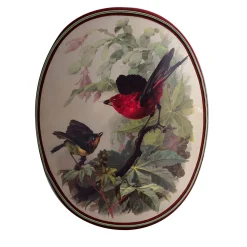 Lampada da parete Birds&Butterflies #2