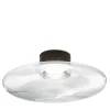 Lampada da soffitto nera Desideria