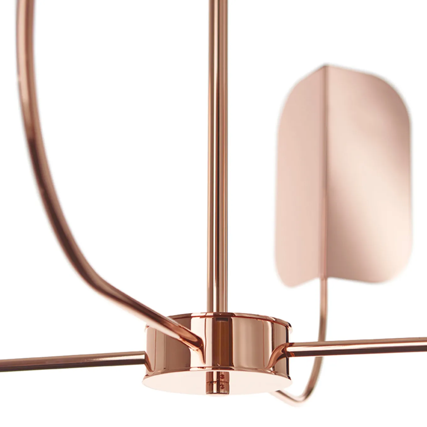 Lampadario a 4 luci Leaf di Matteo Zorzenoni