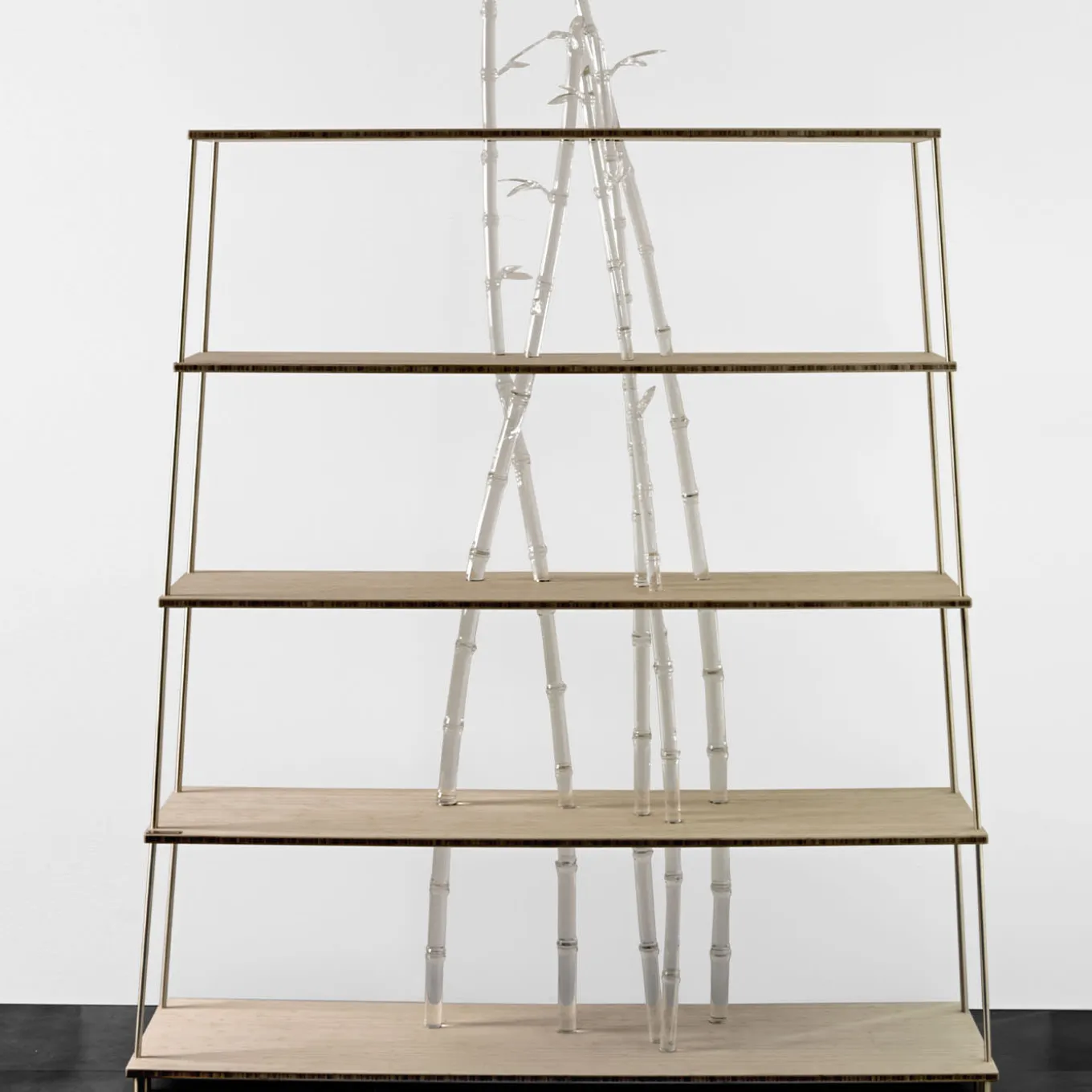 Libreria in legno e vetro Bambuseto