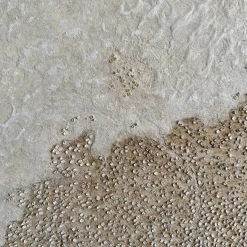 Litorale-Confini Pittura in resina testurizzata