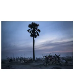 Maiores Nostri #11 Fotografia