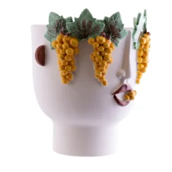 Malvasia Venditrice Di Grasse Bianca