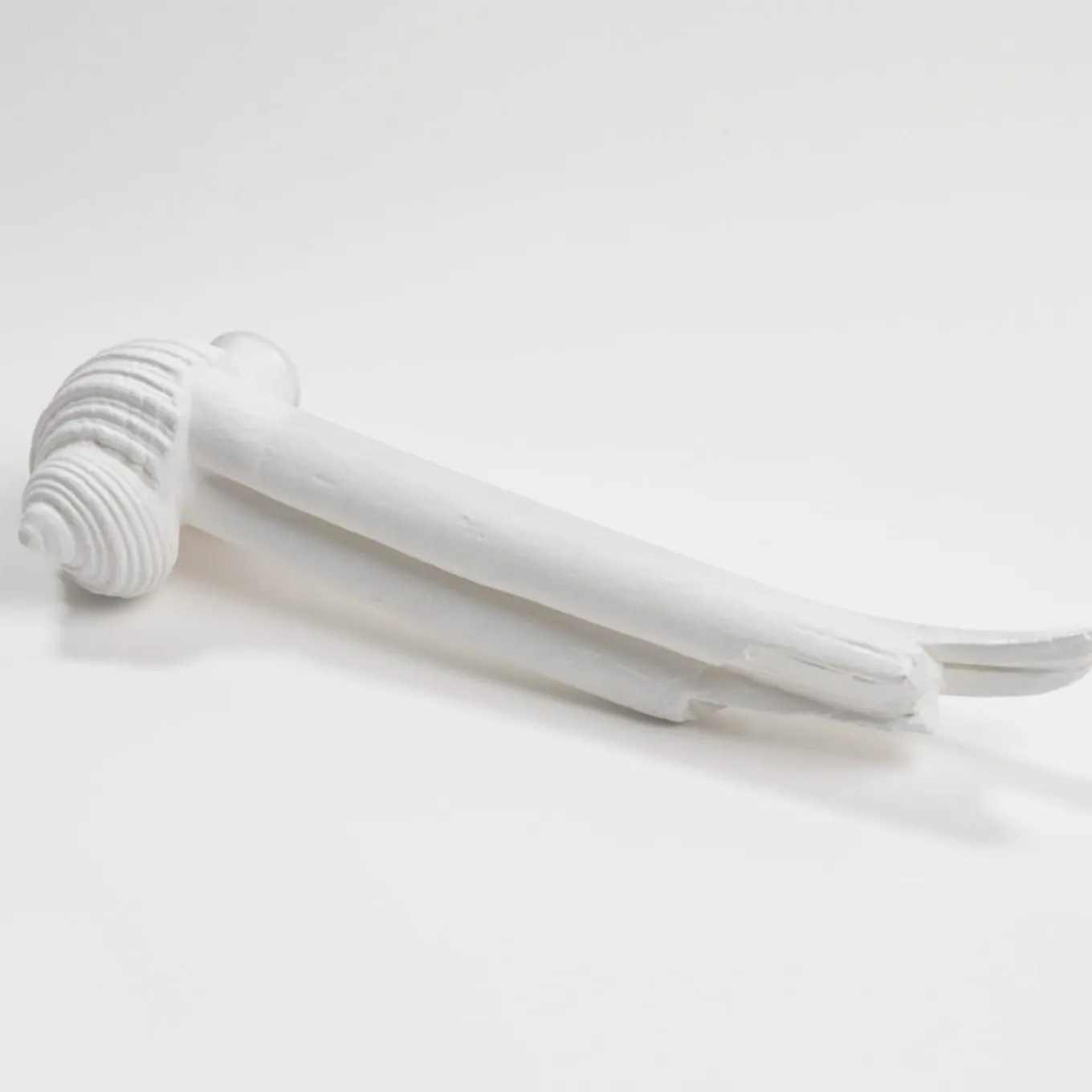 Maniglia bianca Conchiglia di Nicole Valenti