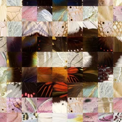 Marilyn n° 1 Serie di stampe pop enigmatiche 2019