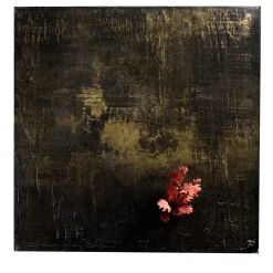 Naturalia Napoli Opera d'arte