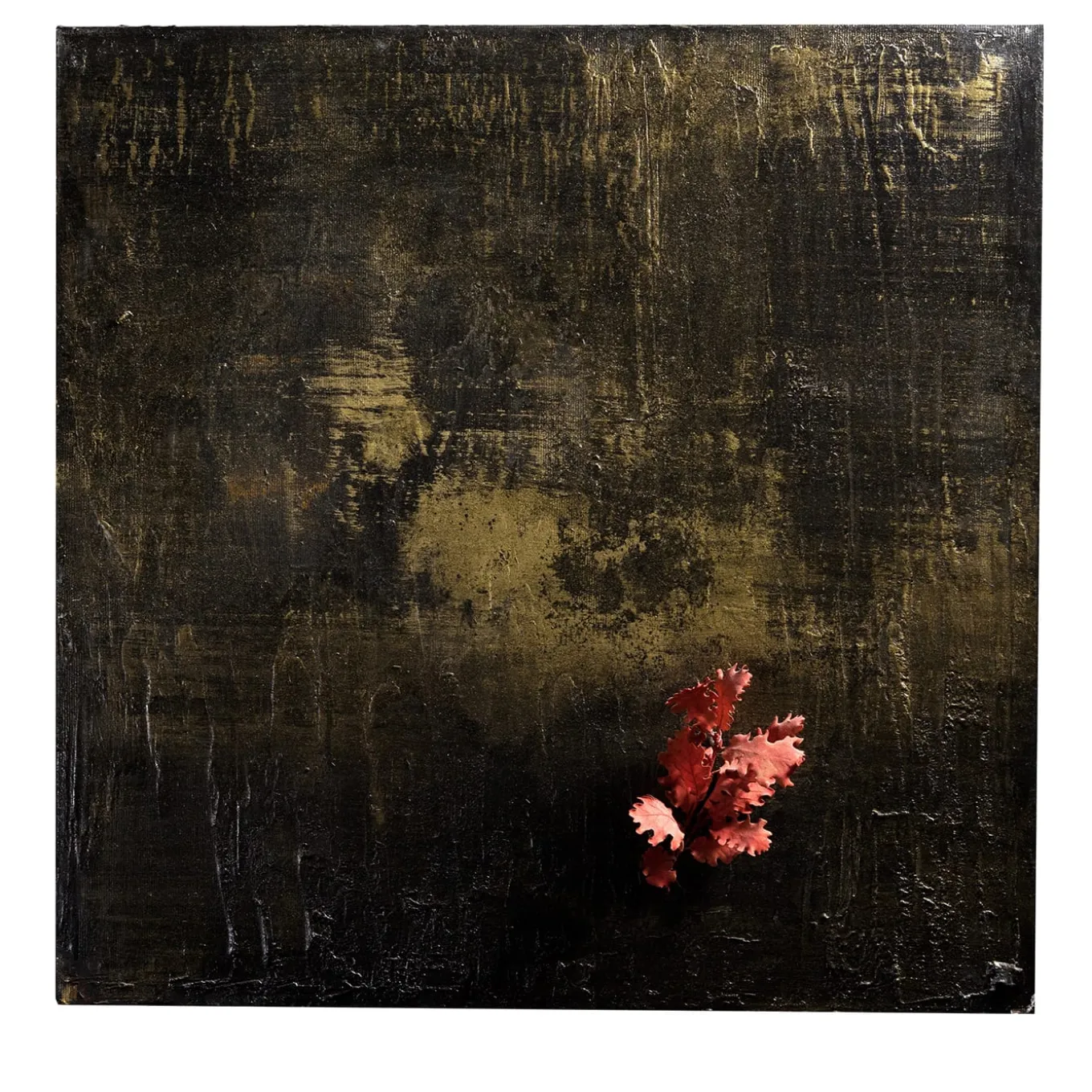 Naturalia Napoli Opera d'arte