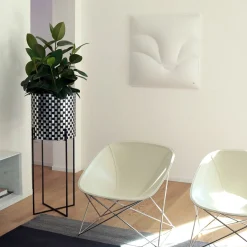 Nexum Optical 80 Nero Chachepot