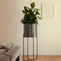 Nexum Optical 80 Nero Chachepot