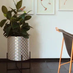 Nexum Optical 30 Oro Cachepot