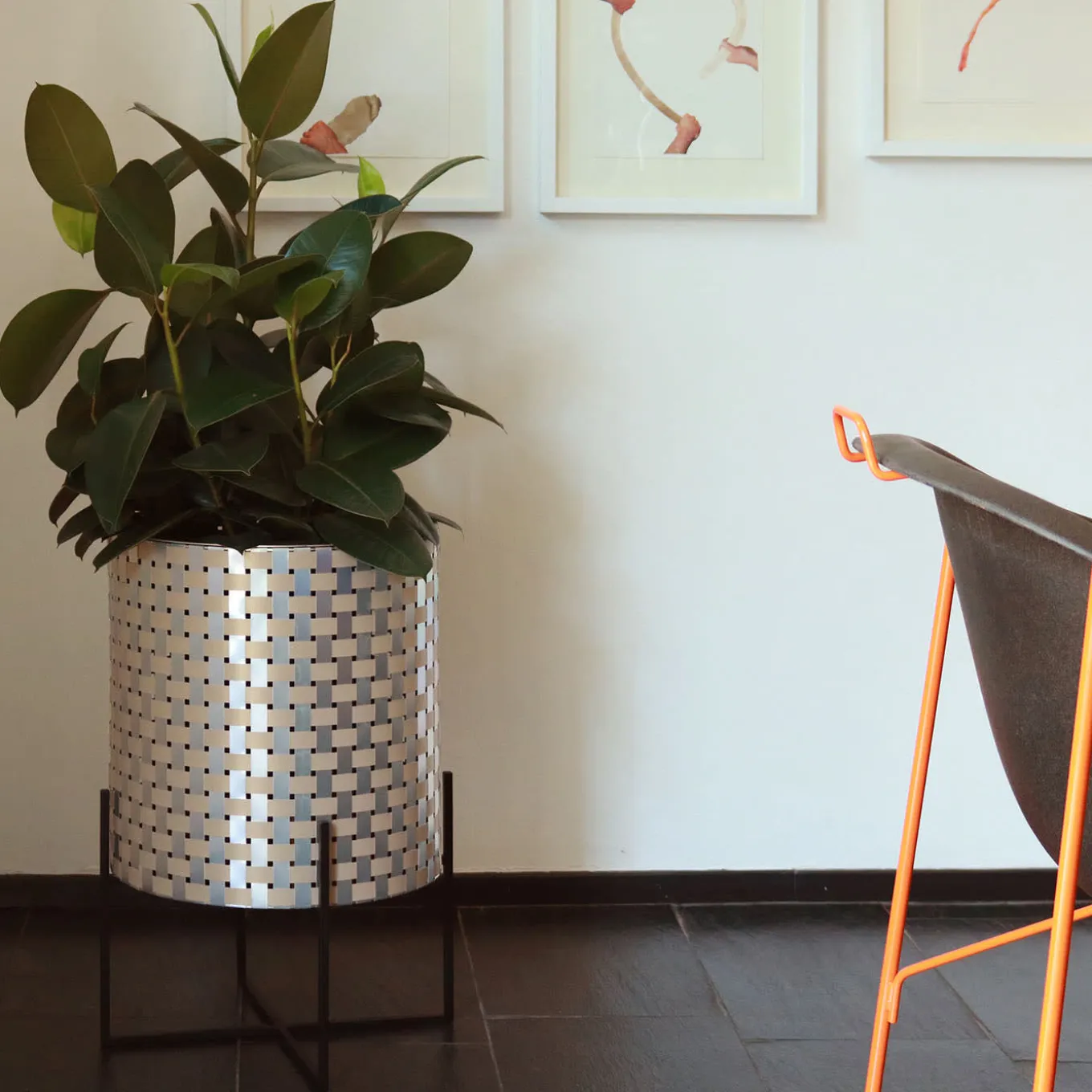 Nexum Optical 30 Oro Cachepot