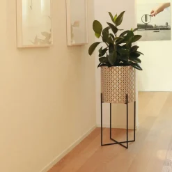 Nexum Ottico 60 Oro Chachepot