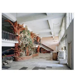 Niente clacson per favore Fotografare