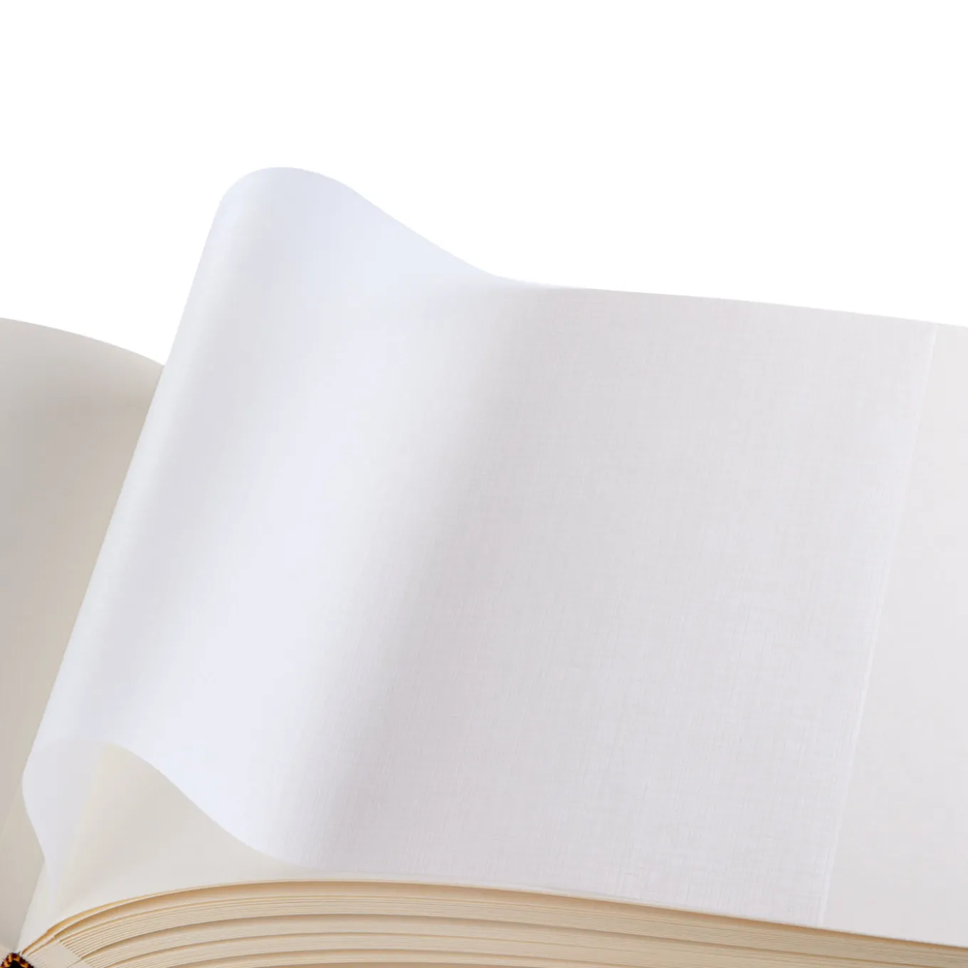 Oro Album fotografico