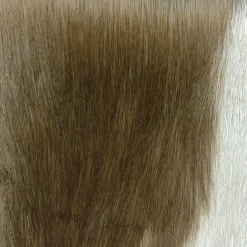 Ottomana alata Gabriele 1941