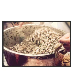 Palermo Babbaluci Fotografia