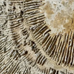 Pannello "Espansione Sabbia