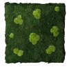 Pannello interno Flatmoss e Polemoss