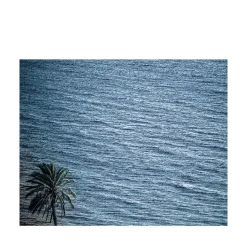 Pantelleria Palma di Scauri Fotografia