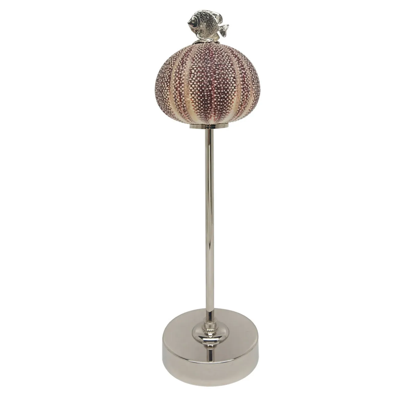 Pesce lampada Rich-O