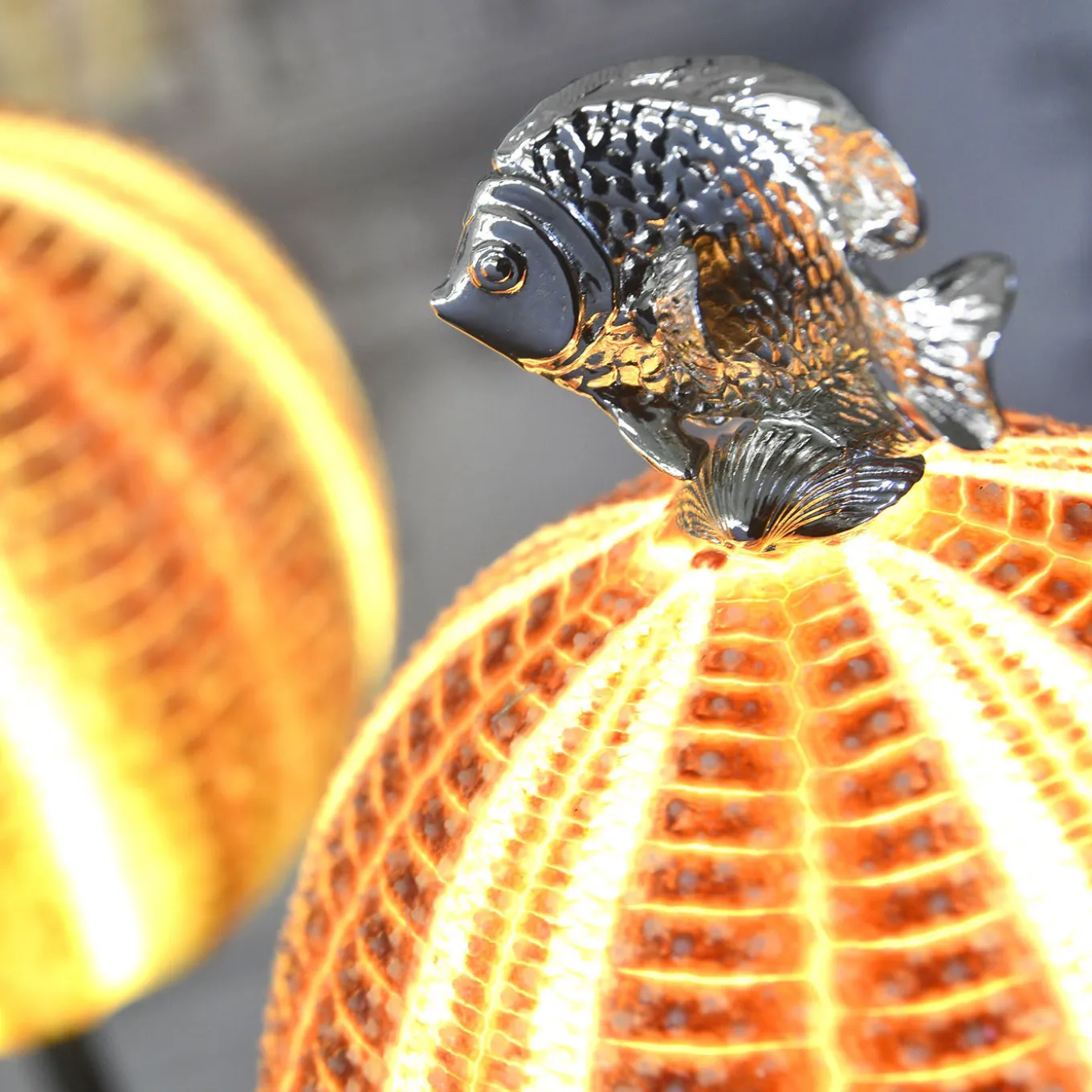 Pesce lampada Rich-O