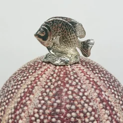 Pesce lampada Rich-O