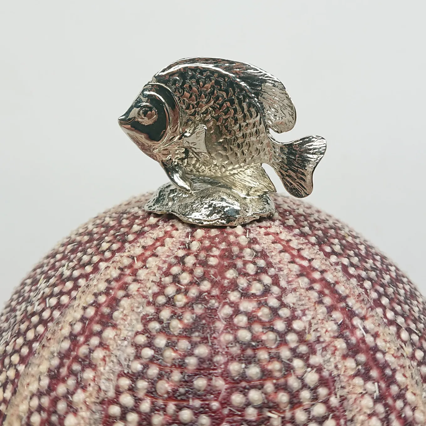 Pesce lampada Rich-O