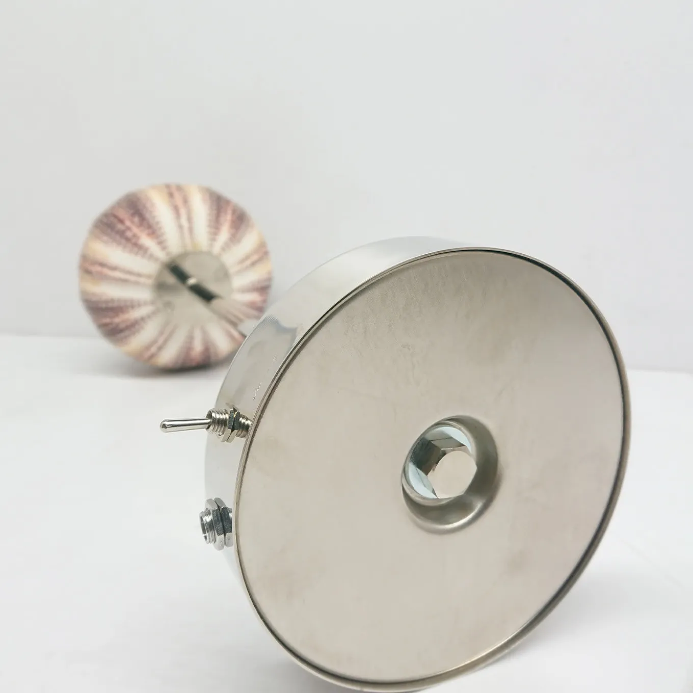 Pesce lampada Rich-O