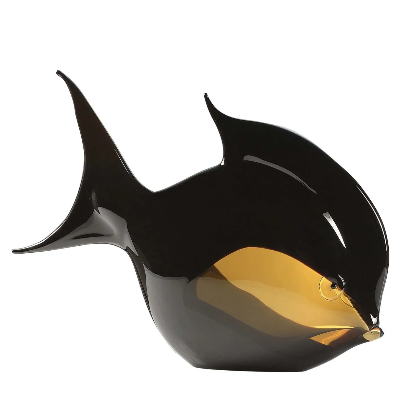 Pesce orata nero e ambra d'acquario