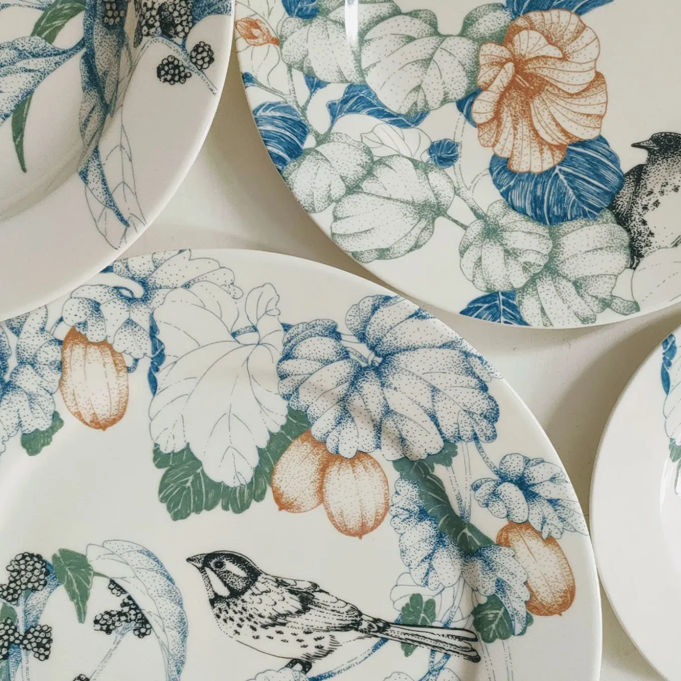 Piatto da pranzo policromo Bird Song #1