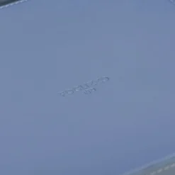 Picasso Cielo Blu Svuotatasche Medio