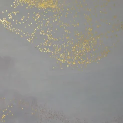 Pittura di luce danzante e svettante