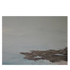 Pittura di natura morta